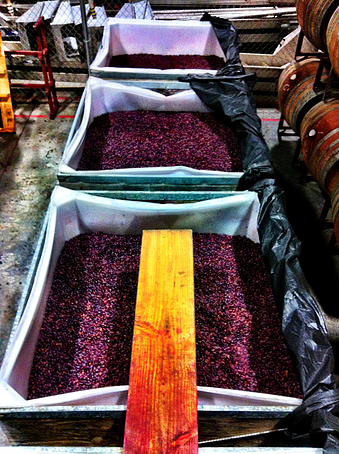 Kunin Wines